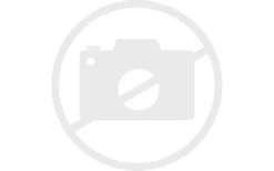 Deuter Futura 24 SL Wanderrucksack 24 Liter Forest-jade